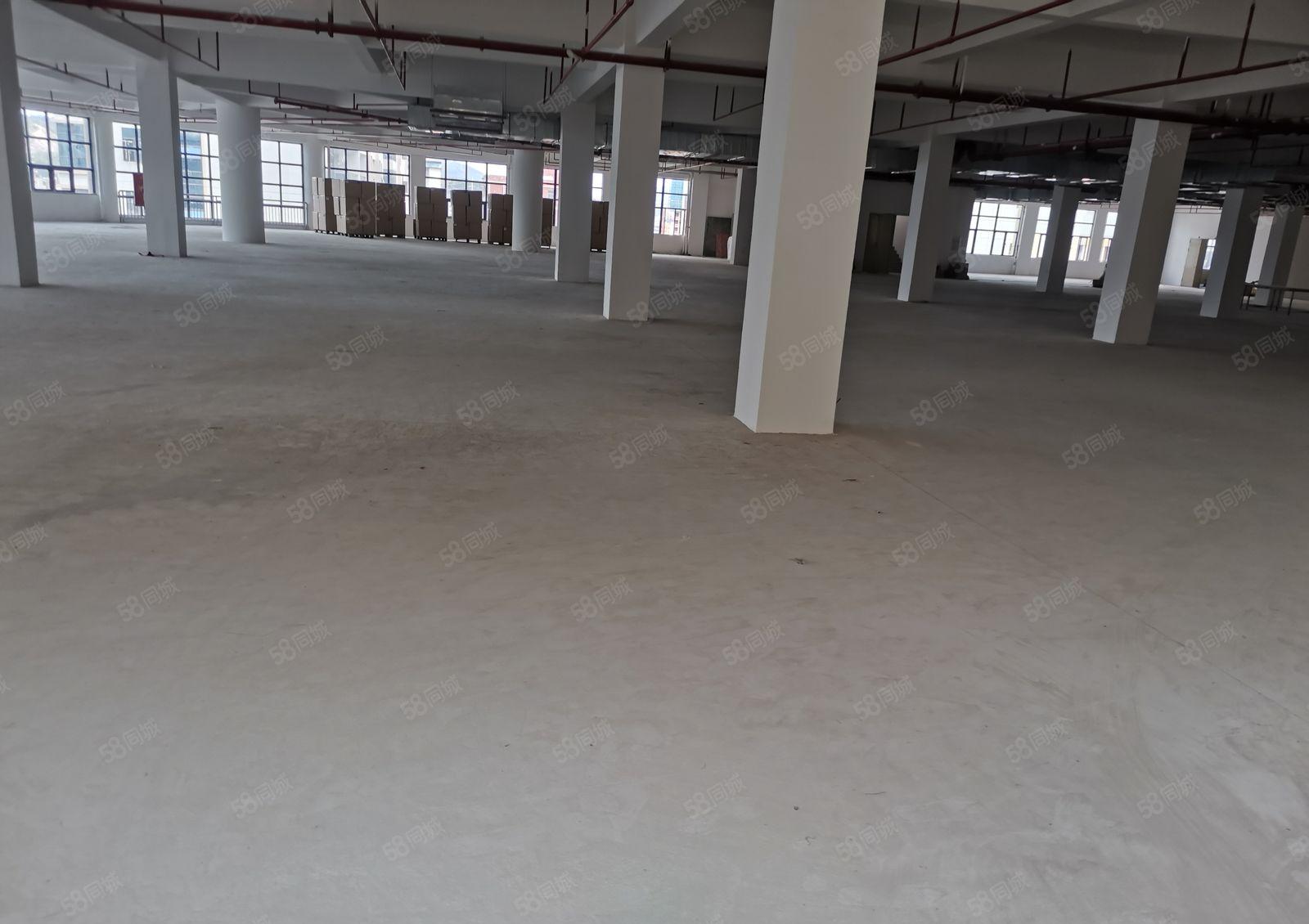 全新带5吨货梯单层4500平出租！四面通透！