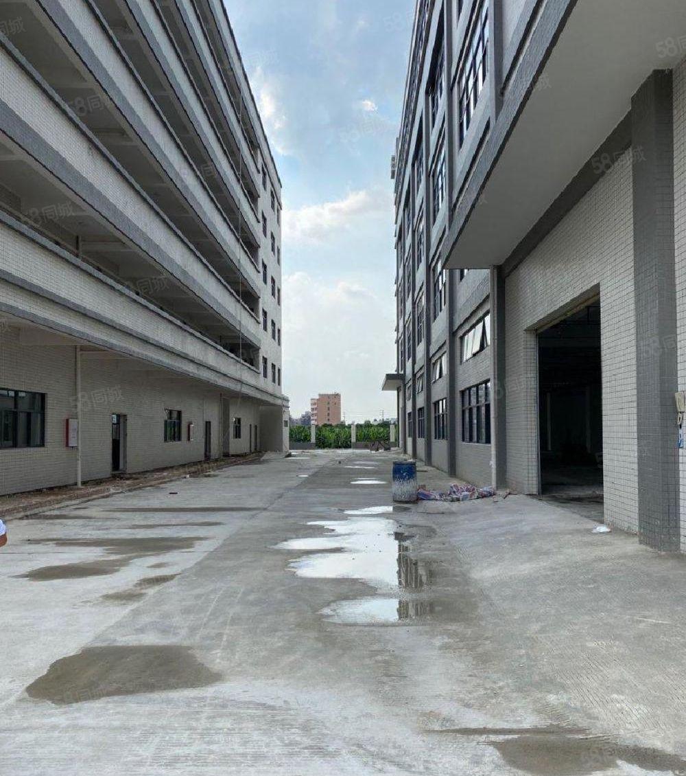 惠阳镇隆稀有独院厂房4万出租可分租可办理环评可做污染行业