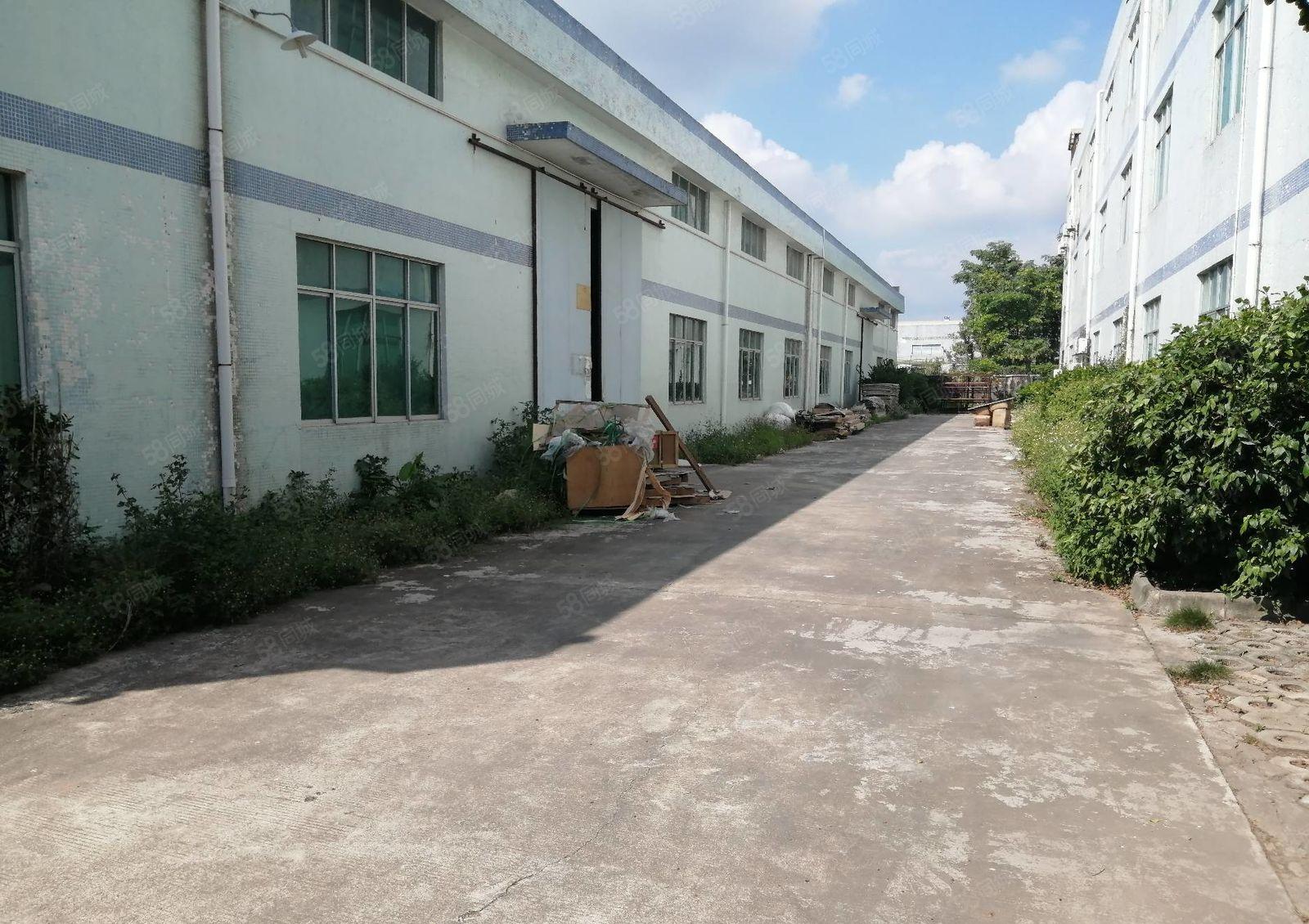 惠阳新出花园式工业园单一层独栋3500平方