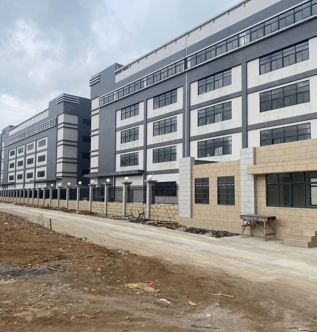惠阳将军路口原房东红本新建厂房48000平米可分租