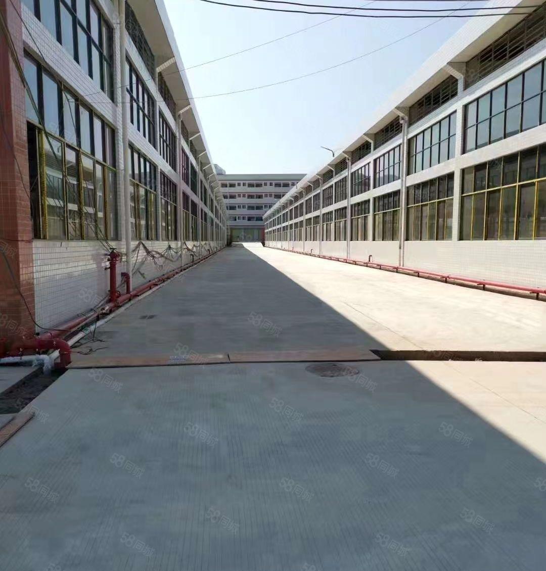 20000平方全新钢结构厂房出租（可分租）