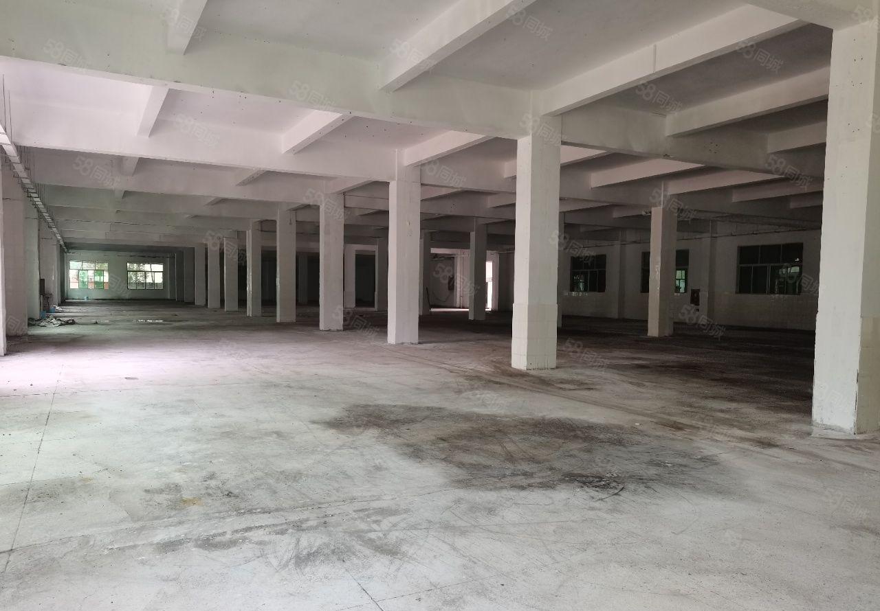 惠州惠阳镇隆镇空出原房东独门独院标准厂房出租