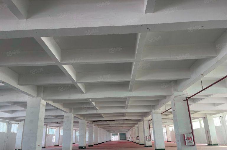 靠深圳100米7元起租啦！厂房带红本，园区内可分租可整租。