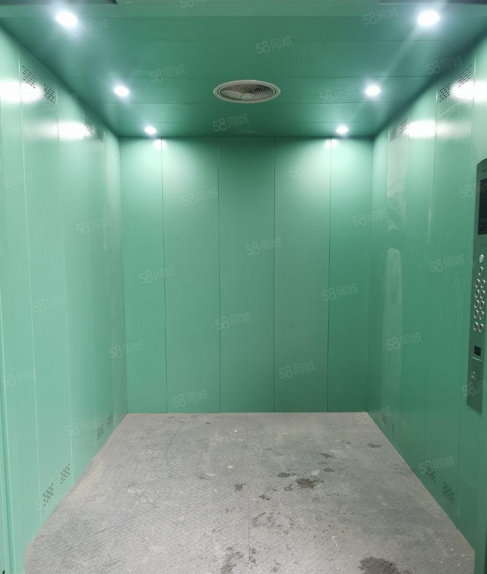 镇隆万里工业区 全新红本20000平标准厂房出租 大小可分租