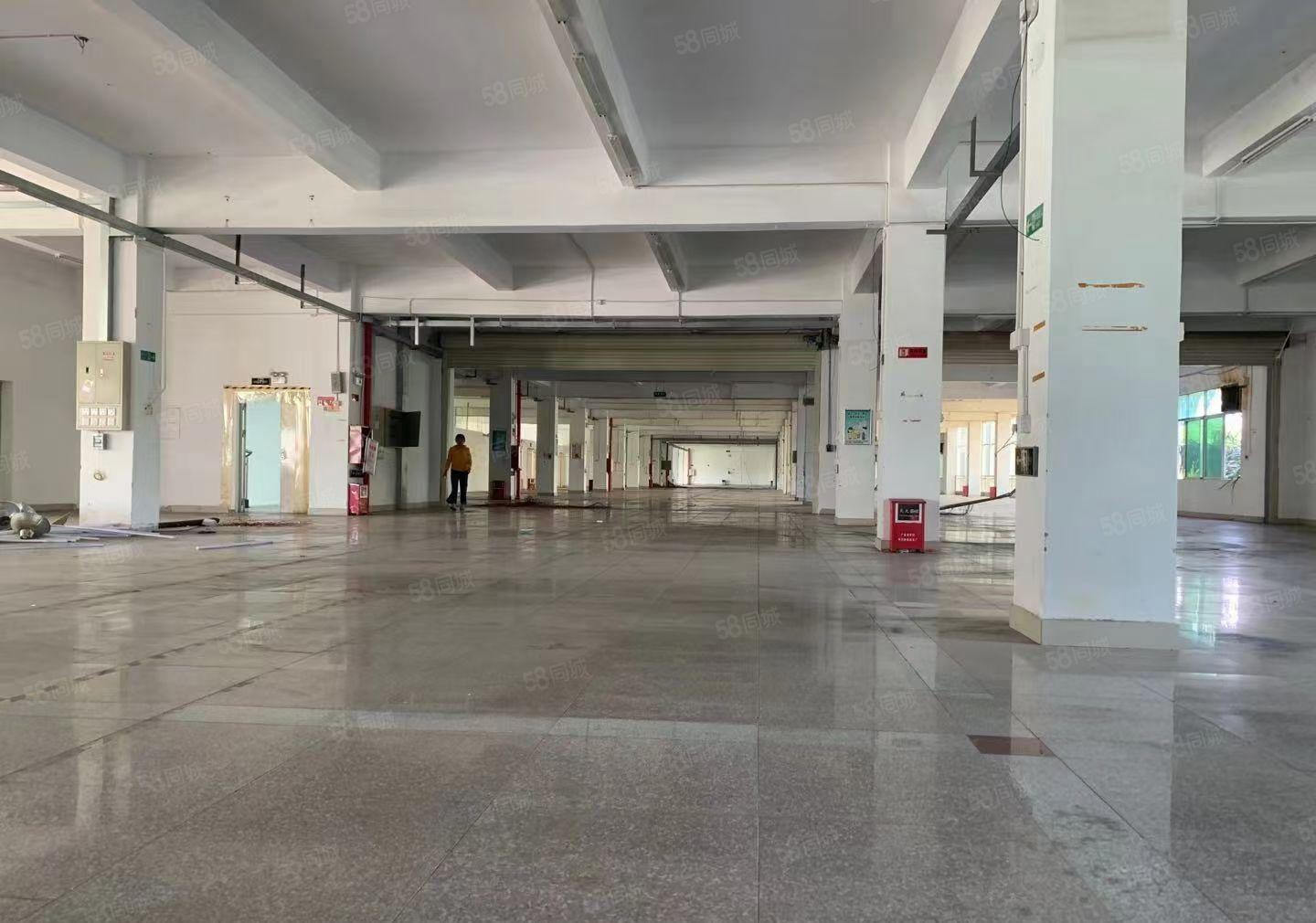 惠阳秋长大湾区28000平方花园式独门独院厂房