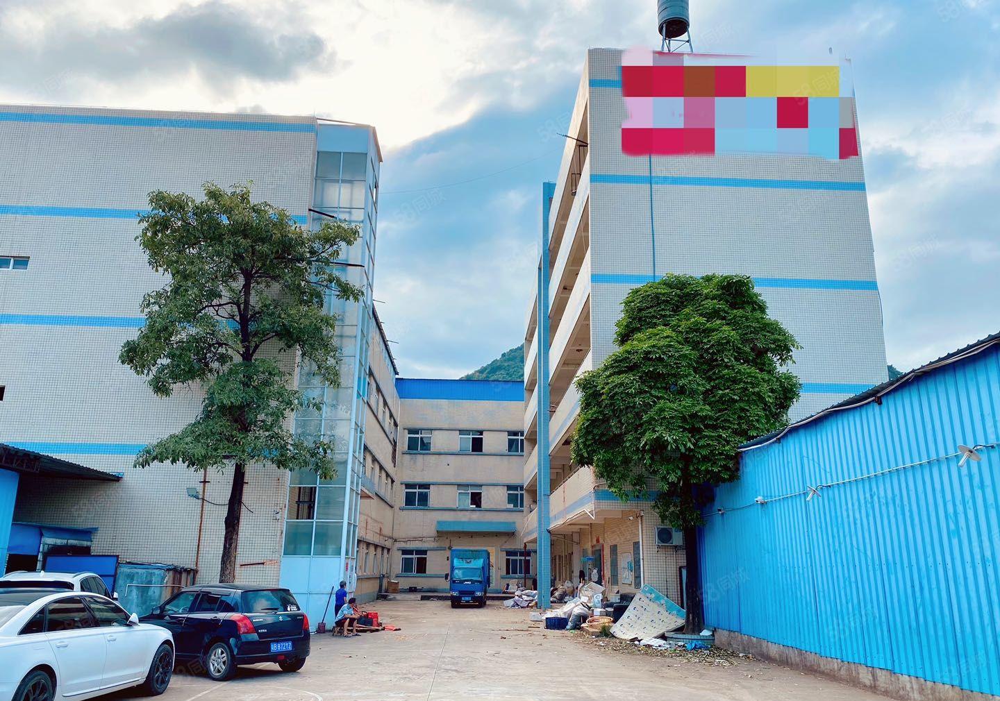 惠阳区镇隆镇繁华地带园区厂房低价出租2006000平可分租