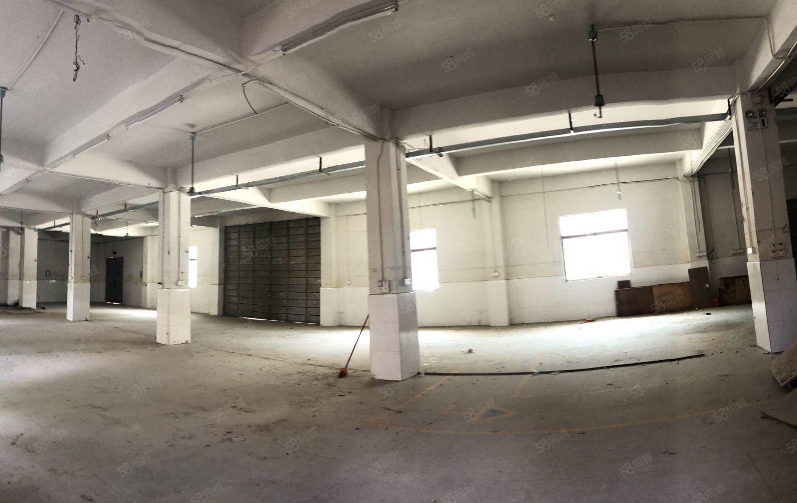 可做水泥制品特种钢构厂房，12m滴水，面积5000空地4万