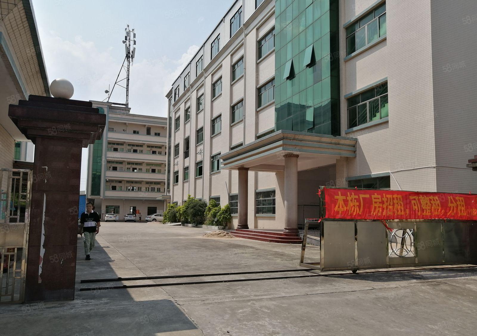 白石精装500平起租可做五金加工行业厂房大小面积可分租