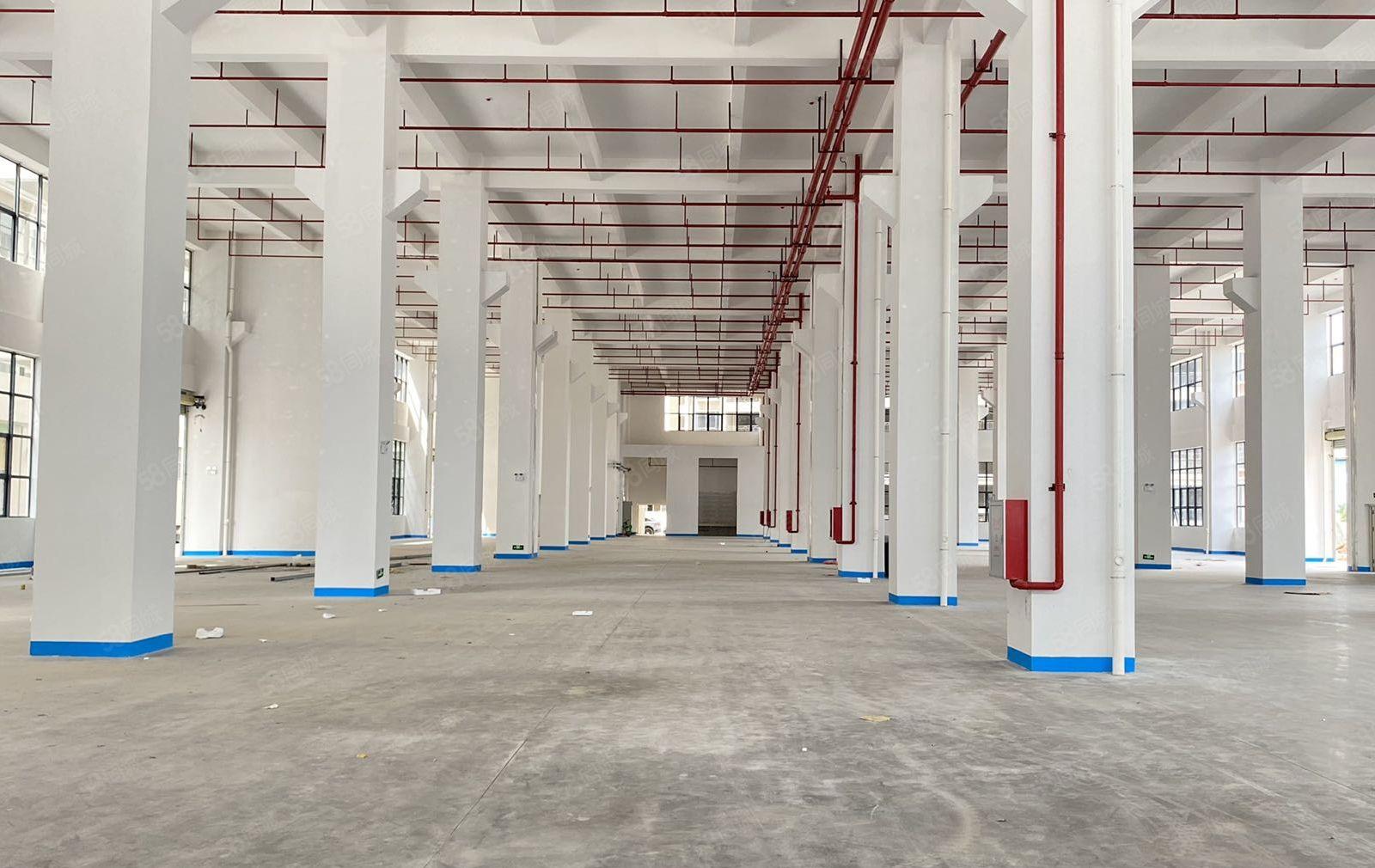 临深20米 秋长原房东 8万平全新重工业厂房出租20元可分租