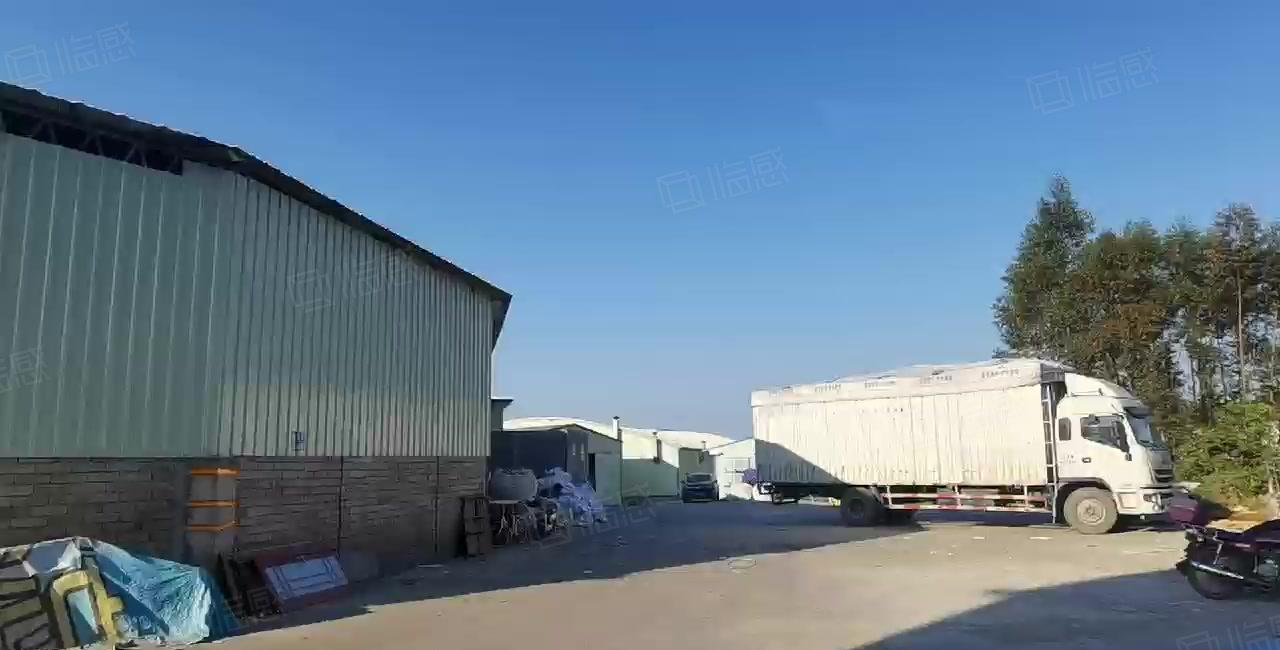 11元滴水8m钢构厂房。500起分租，破碎，颗粒无限制行业