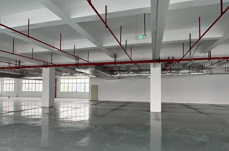 新出！2000平镇隆厂房仓库出原房东低楼层实际面积空地大