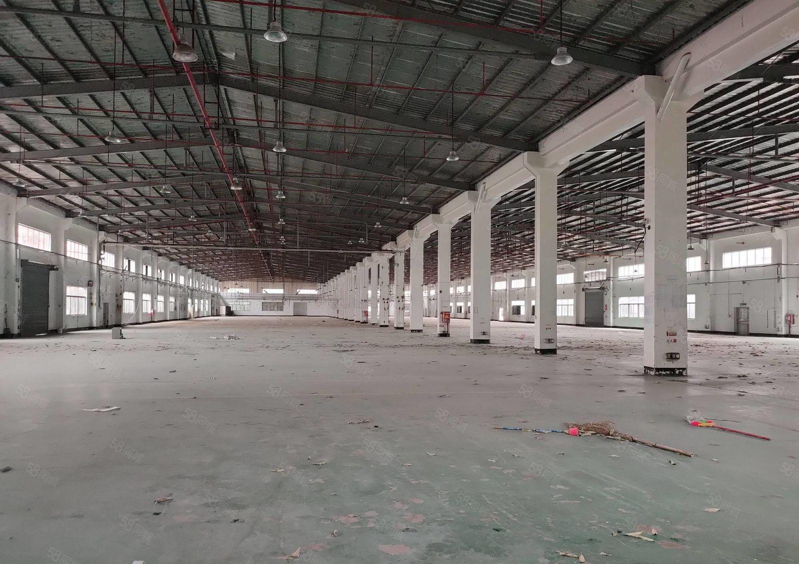 惠阳秋长茶园大型工业园30000平方钢构厂房招租（大小可分）