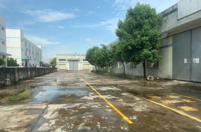 靓！惠州秋长茶园原房东独院钢结构7500平价格可谈可对半分