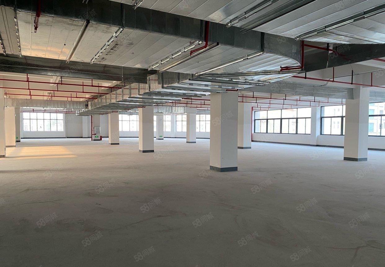 惠阳全新厂房出租，宿舍配套