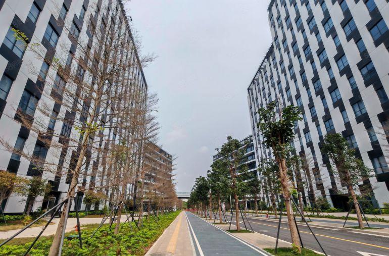 惠阳三和经济开发区全新厂房6元特价原房东无公摊500平起分租