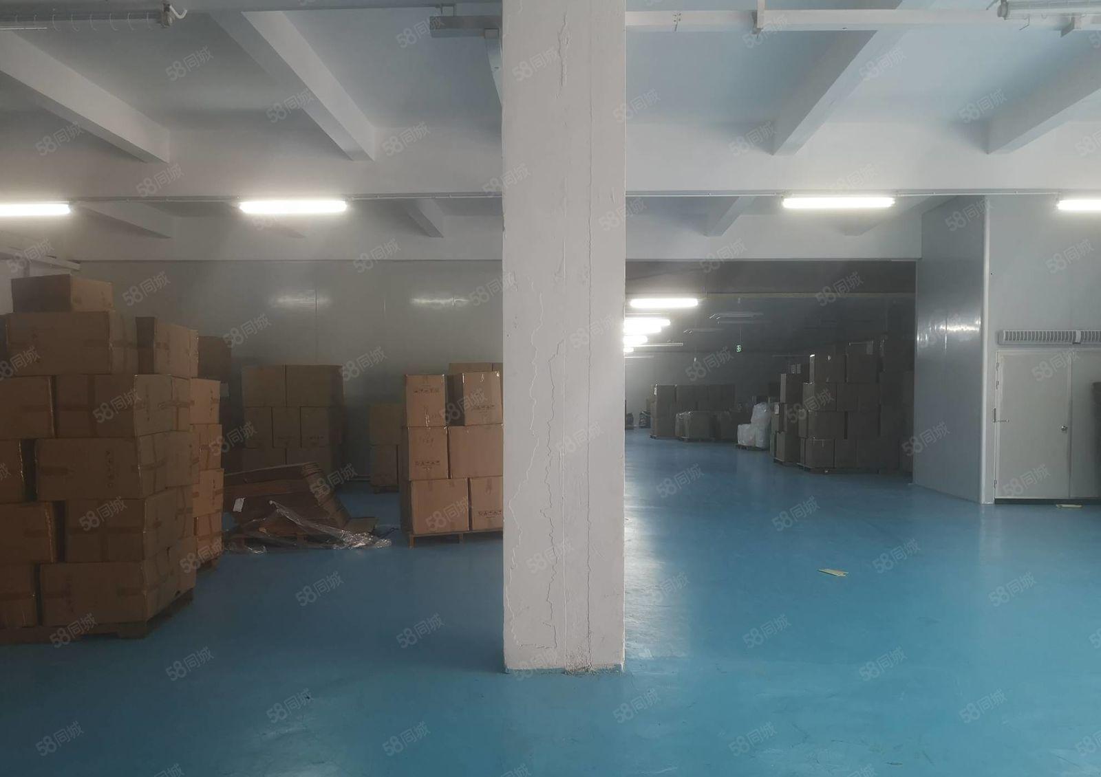 镇隆成熟工业区 原房东独院3600平厂房出租 豪华装修可分租