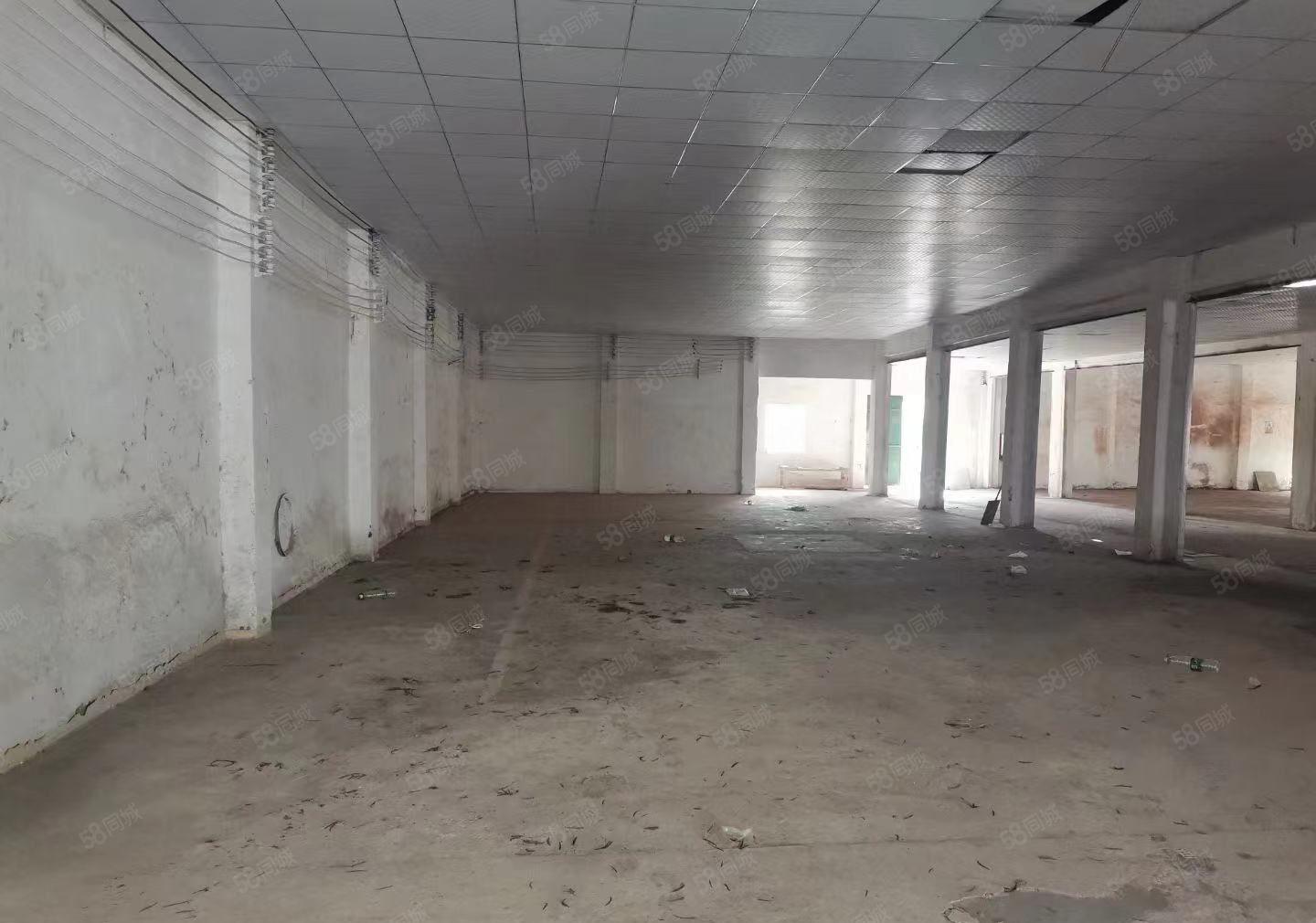 沙田新出钢构经典小独院，3000平