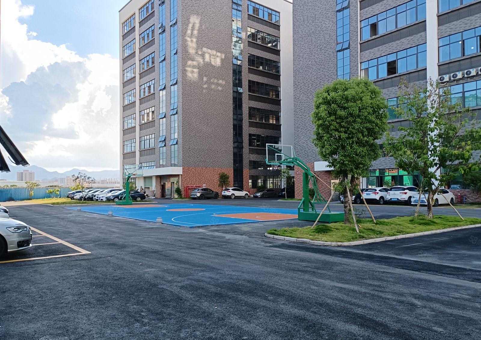 （已做雨污分流）镇隆甘陂原房东全新红本标准厂房35000平