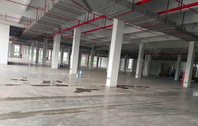 惠阳秋长镇原房东标准一楼2300方出租 大小可分