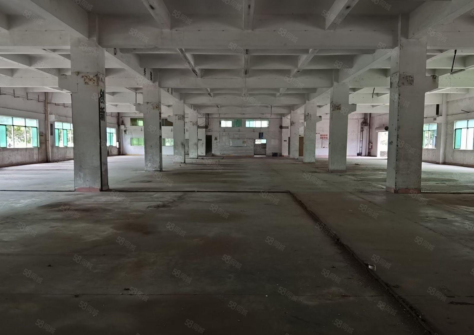 原房东红本独院占地60000厂房独栋五层30000平方证件齐