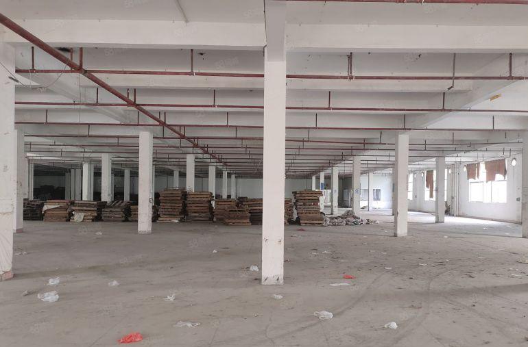 800平起租花园厂房惠阳新圩长布靠秋长原房东大空地独院厂房