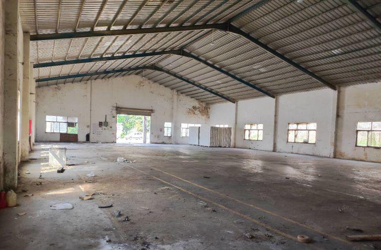 11元出租新圩1000平方钢构厂房仓库出租不限行业