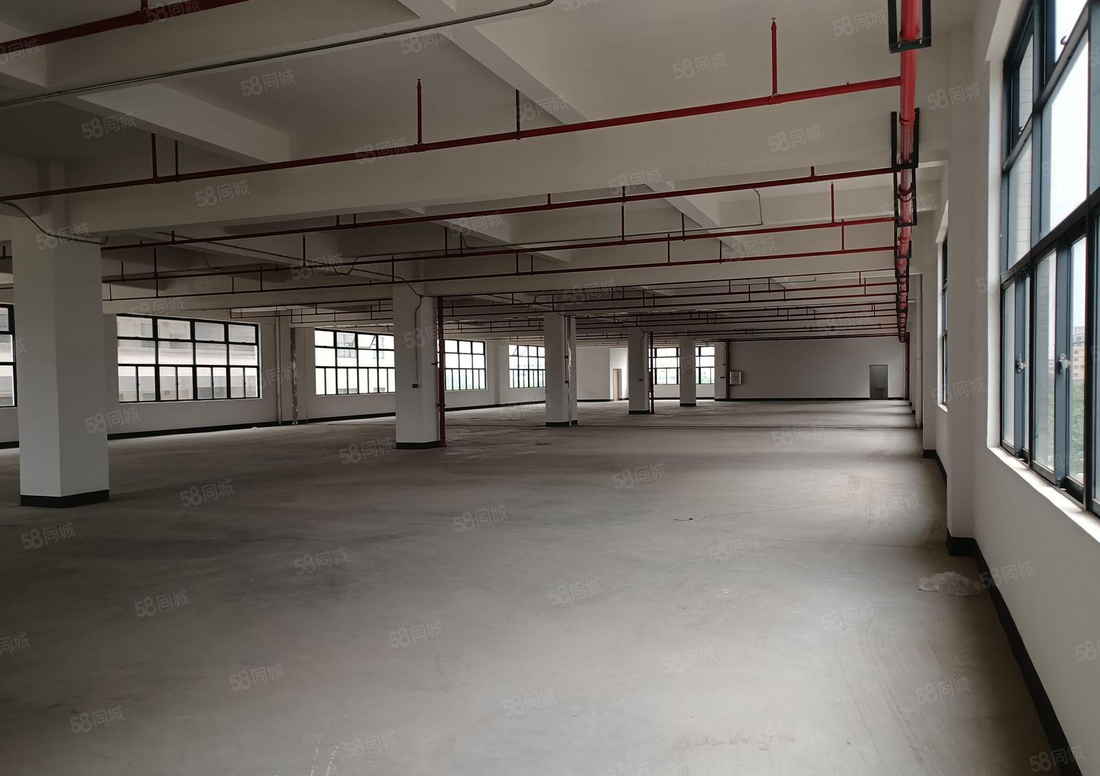 （500起分租）惠阳镇隆205国道边新出红本独院40000平