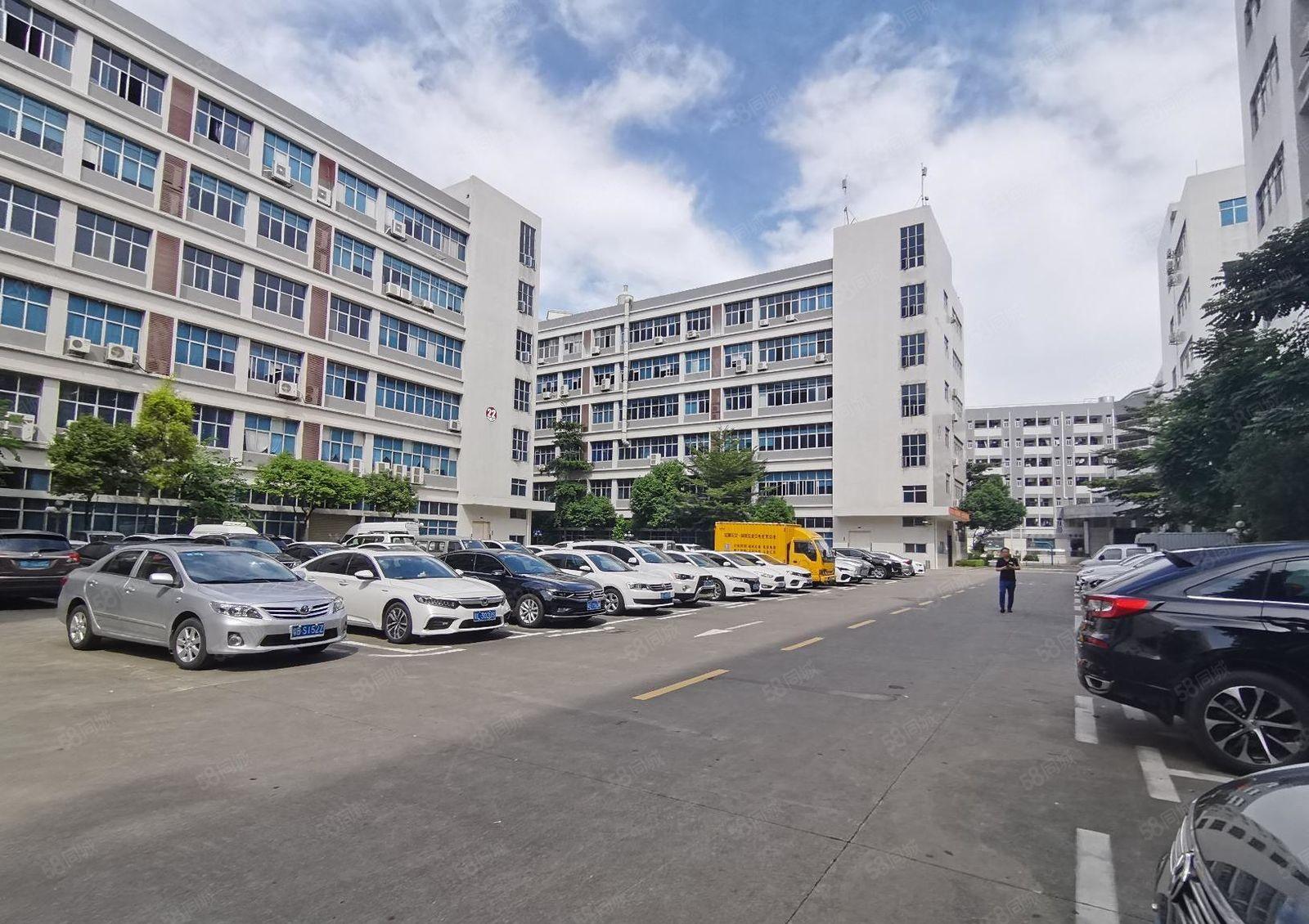 惠阳秋长茶园工业区红本厂房2000平方精装办公室，有消防喷淋