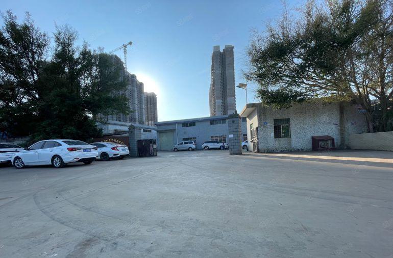 新圩独栋原房东1400平钢构厂房