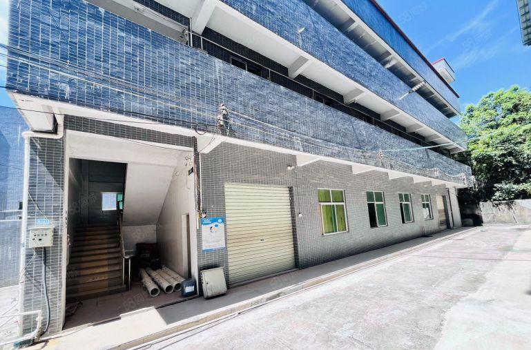 9块在新圩租6米高全新4700平独门独院厂房有牛腿