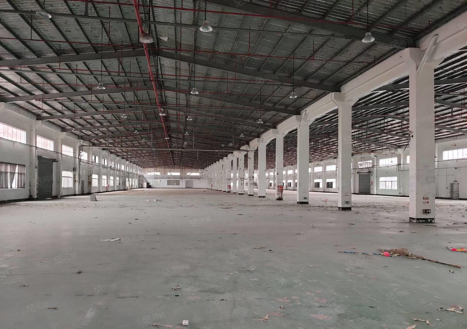 惠阳秋长茶园大型工业园30000平方钢构厂房招租（大小可分）