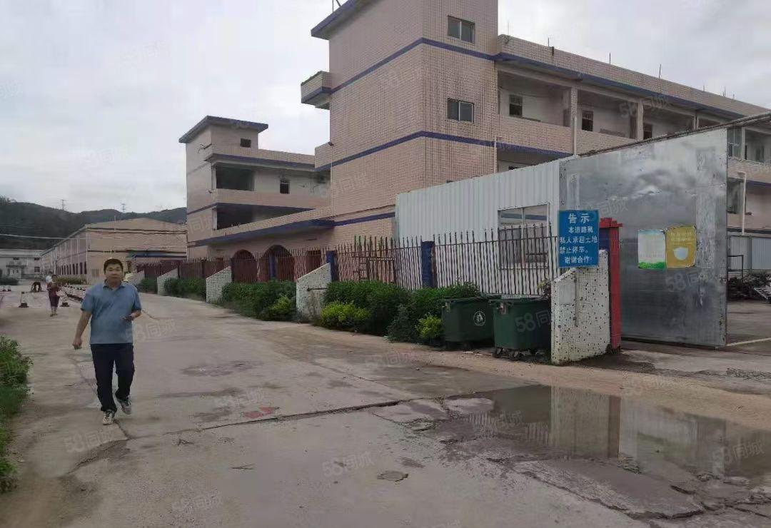 惠阳新圩高速口砖墙到顶钢构独院11090平滴水9米，空地超大