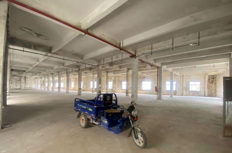 9元平惠阳镇隆高速口原房东一楼厂房无公摊可分租