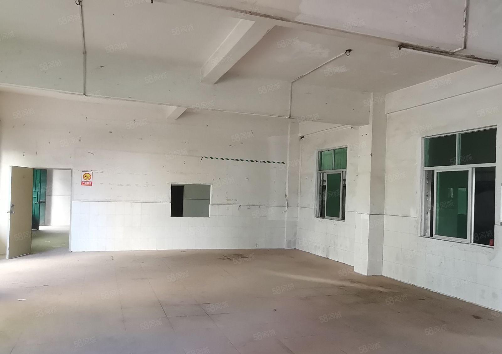 镇隆原房东 经典独院5050平实量面积厂房出租1000平起租