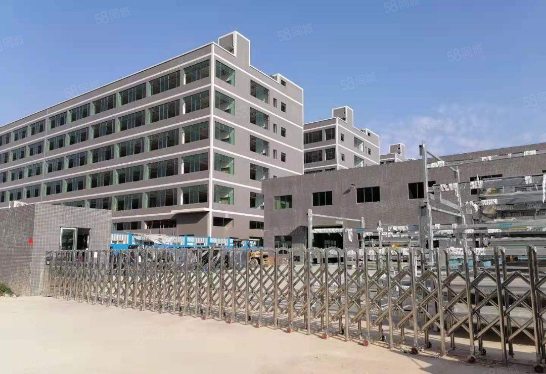 惠东县白花镇10元全新标准厂房3500平方楼上整层出租可分租