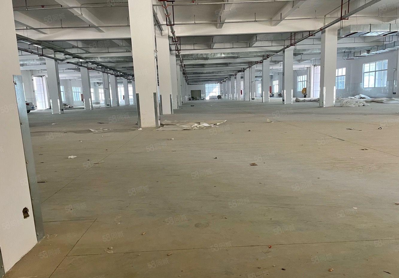 秋长白石独院厂房出租，证件齐全，形象好，1000平起租