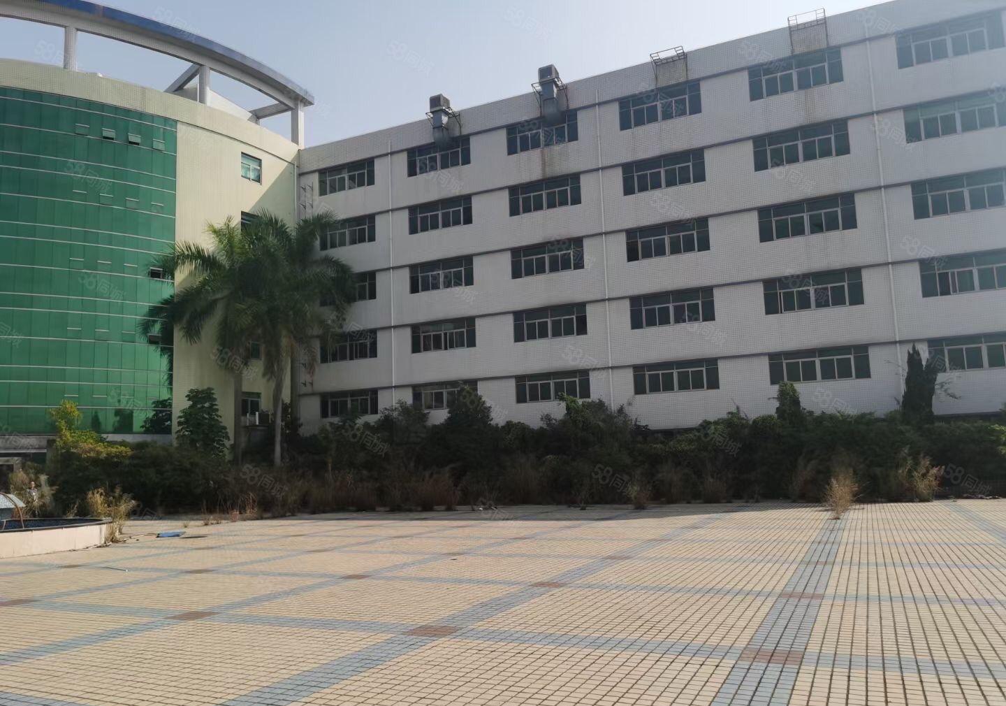 惠阳新圩约场花园式厂房88000平方大小分租