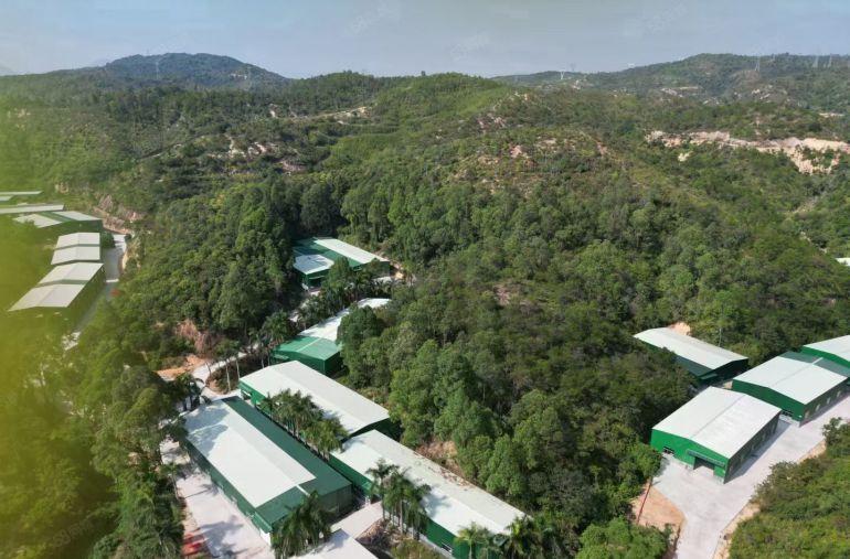 惠阳区秋长镇全新新建钢构厂房低价出租，滴水6到10米大小分租