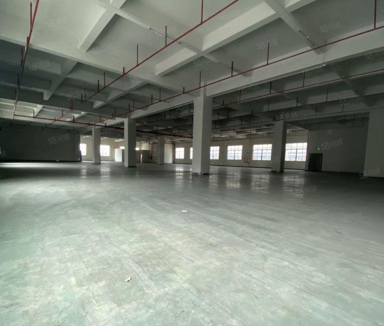 惠阳区镇隆独院标准钢构厂房出租8200平方