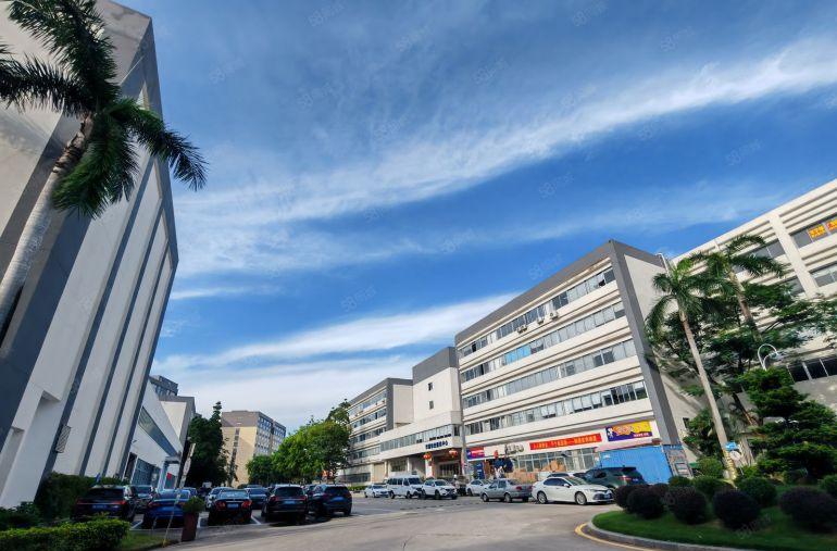 临深，临深惠阳区秋长白石8元原房东红本精装修厂房出租