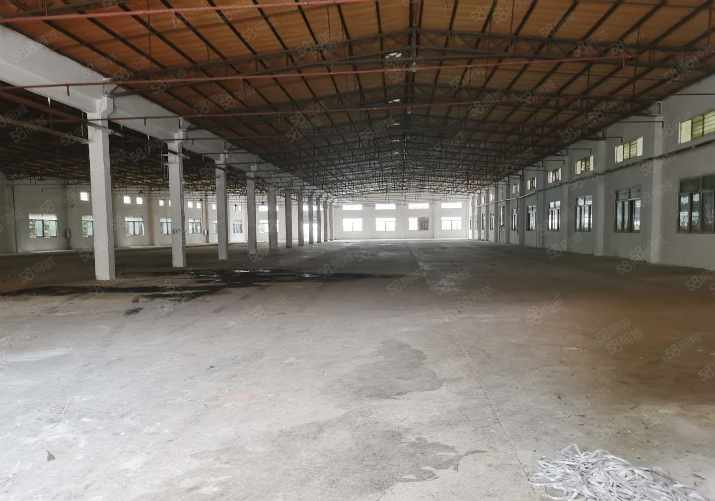 惠州惠阳区秋长镇白石村原房东滴水8米独院钢构厂房4600平米