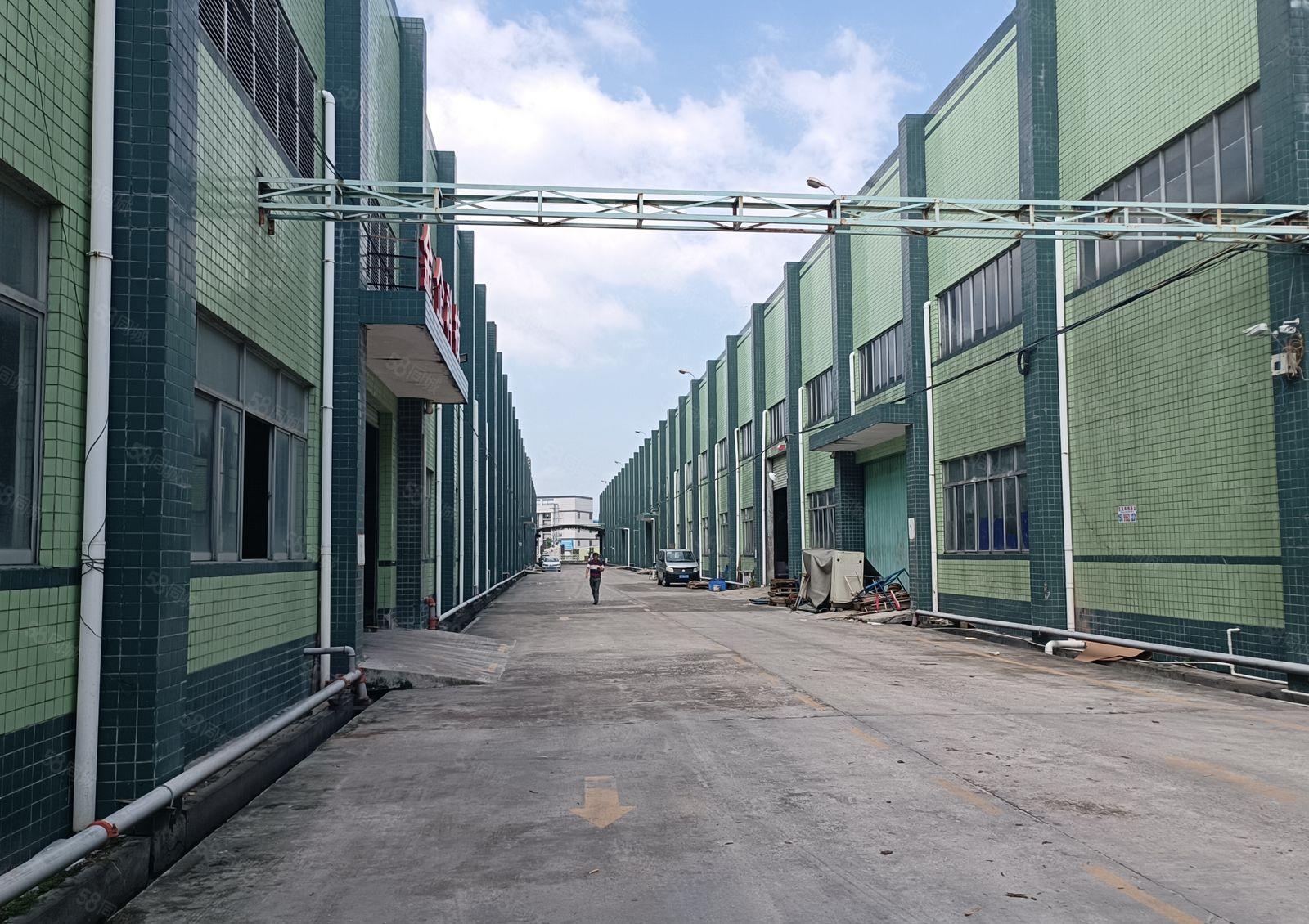 （滴水12米）惠阳镇隆高田村红本钢构厂房9600平方