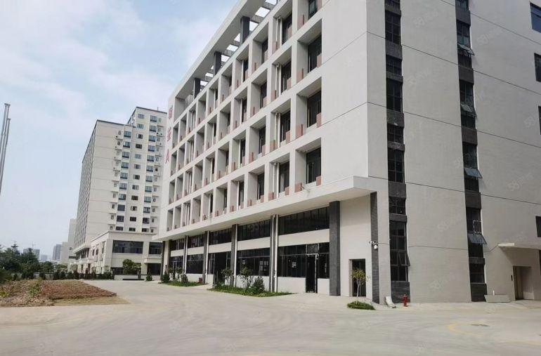 13元块。镇隆出原房东1000平方厂房仓库低价出租大小可分租