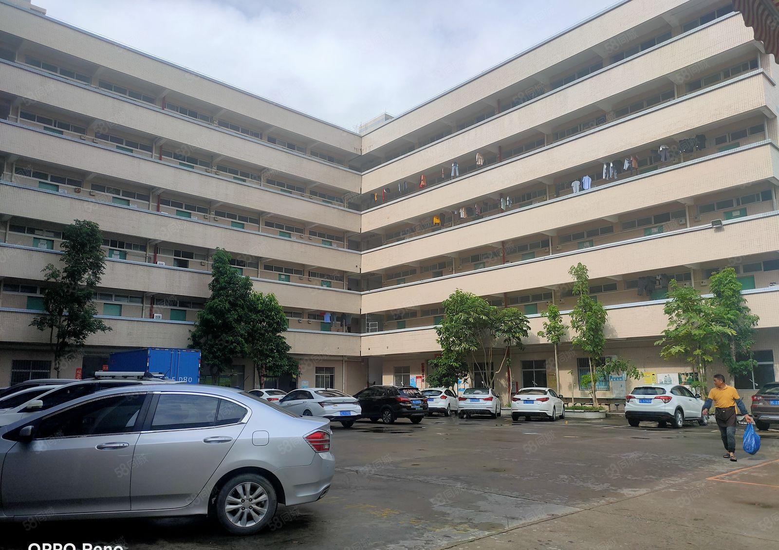 惠阳区沙田镇田头村7000钢构招租可整可分