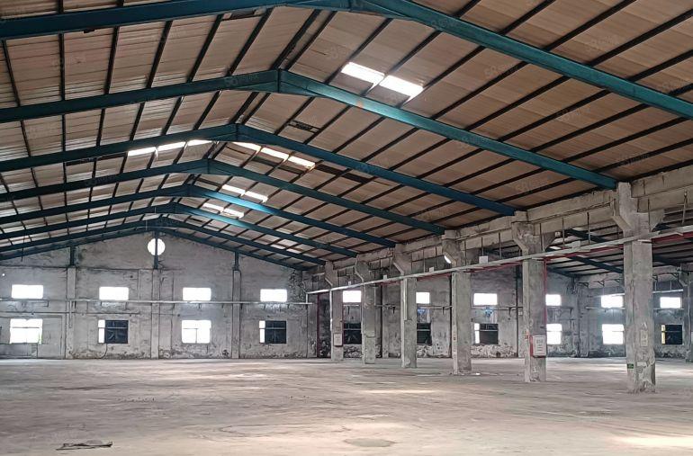 惠阳新圩东风新出原房东砖混钢结构厂房4800平方米招租