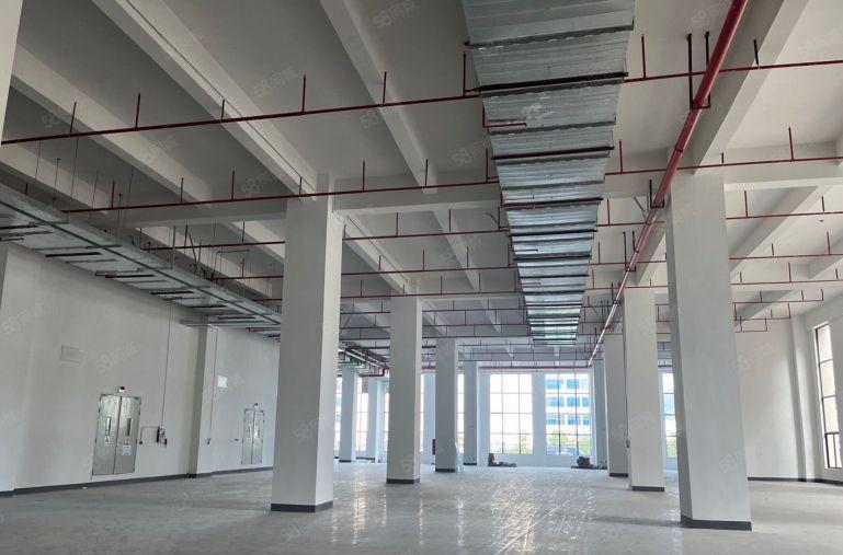 惠阳秋临深工业园 标准一楼带牛角厂房15000平大小可分