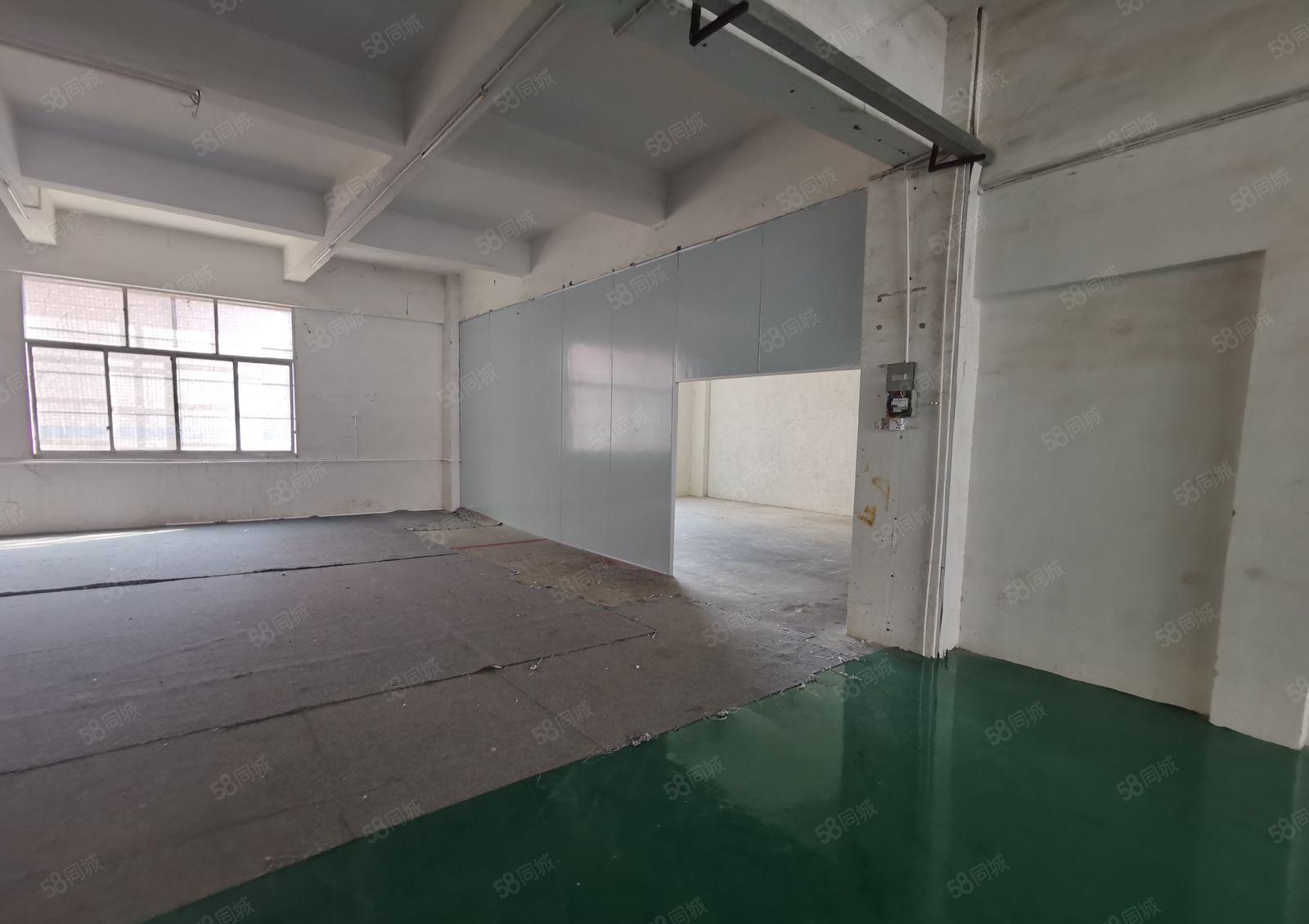 新出红本厂房小面积标准1楼