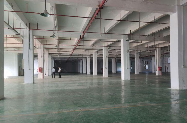 惠东沙田楼上2000平方原房东仓库厂房出租500平方起分租