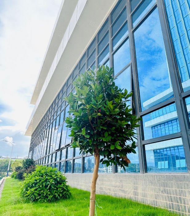 惠阳三和经济开发区全新红本工业厂房隆重招商，价格10块起！