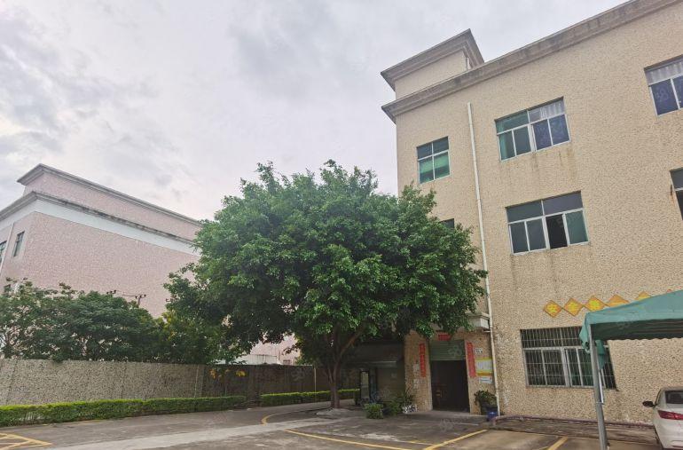 带喷淋！塘口工业区新出1500平米一层共2层3000平米厂房